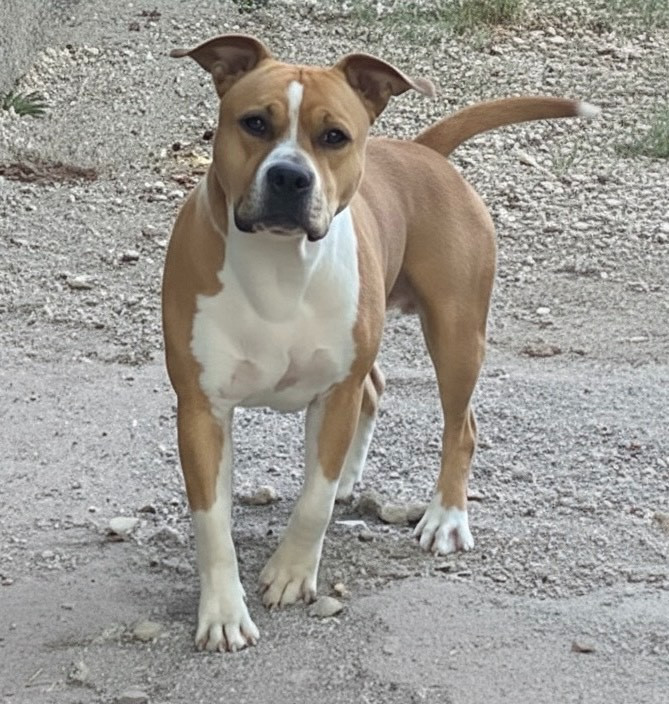 Legend royal du domaine de roujus