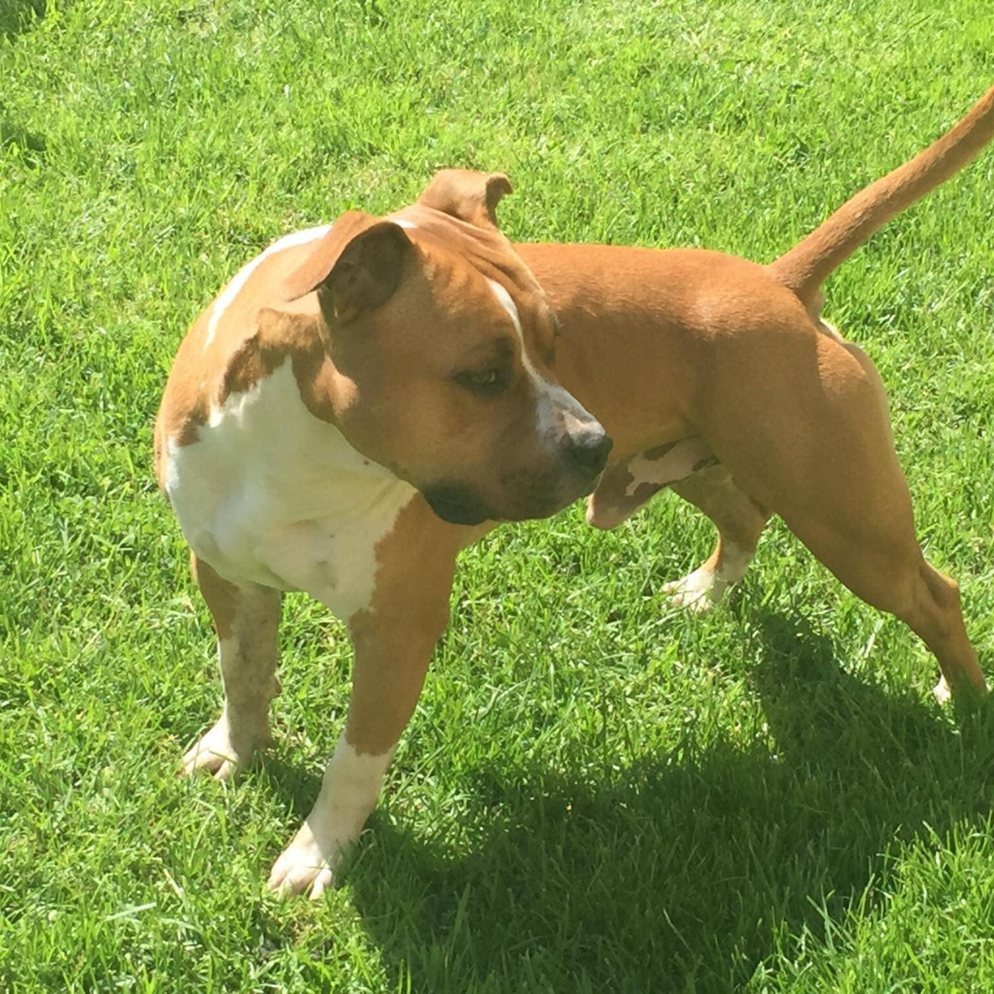 PROCHAINE PORTEE MARS 2026